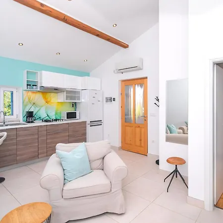 Tamburika Colorful In Rustica Area * Milohnici